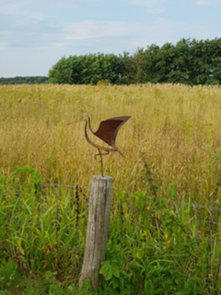 grutto (staand mer gespreide vleugels)